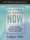 Cover image for Practicing the Power of Now